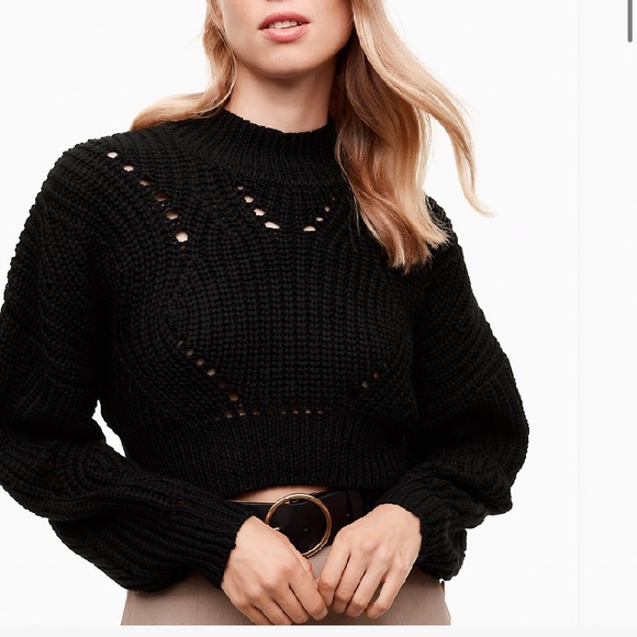 Aritzia Sweaters - Goulaine Sweater